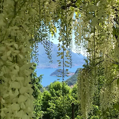 Casa Lario * Naggio (Lombardy)
